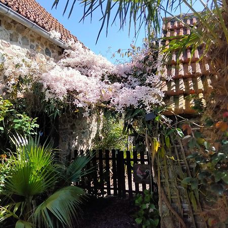 Les Deux Moulins Appartement Saint-Alban  Buitenkant foto