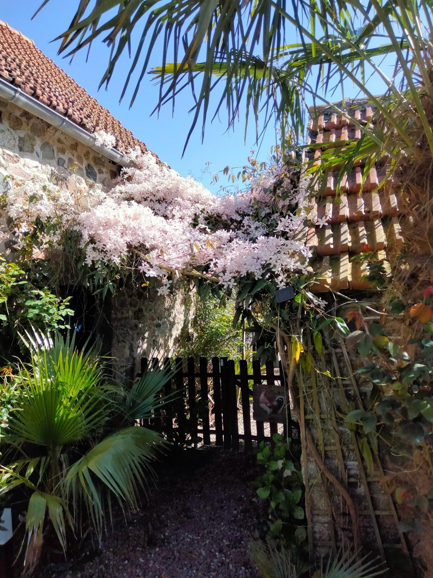 Les Deux Moulins Appartement Saint-Alban  Buitenkant foto